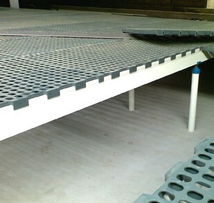 135mm FRP Support Beam για την κατασκευή δαπέδου φάρμακα προβάτων σύμφωνα με τις απαιτήσεις σας