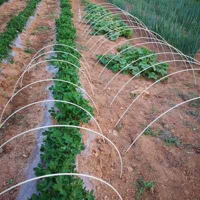Προσαρμόσιμες πόλεις φυτών GFRP αντιγήρανσης για την κοπή υποστήριξης κήπου/δέντρου κατά περίπτωση