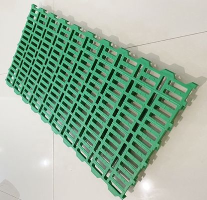 60x60x5cm πλαστικό πάτωμα με ράβδους για τα πρόβατα
