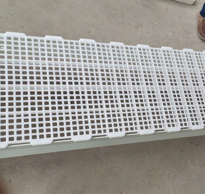 1200x500x50mm Πουλερικά Κοτόπουλο Φάρμα Σπίτι πλαστικό στρώμα δαπέδου Βιομηχανικό σχέδιο